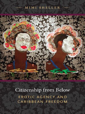 cover image of Citizenship from Below